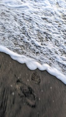 Antik resifler, gelgit havuzları, okyanus dalgaları, palmiye ağaçları, deniz kuşları ve Swamis Resif Parkı Encinitas güney Kaliforniya 'da sıcak görünen gökyüzü ile alçak gelgit günbatımı sahneleri.