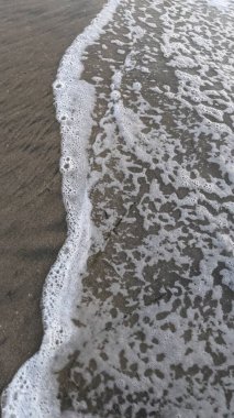 Antik resifler, gelgit havuzları, okyanus dalgaları, palmiye ağaçları, deniz kuşları ve Swamis Resif Parkı Encinitas güney Kaliforniya 'da sıcak görünen gökyüzü ile alçak gelgit günbatımı sahneleri.