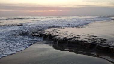 Antik resifler, gelgit havuzları, okyanus dalgaları, palmiye ağaçları, deniz kuşları ve Swamis Resif Parkı Encinitas güney Kaliforniya 'da sıcak görünen gökyüzü ile alçak gelgit günbatımı sahneleri.