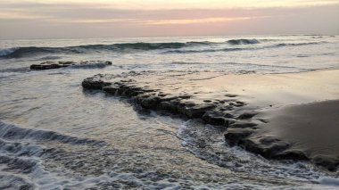 Antik resifler, gelgit havuzları, okyanus dalgaları, palmiye ağaçları, deniz kuşları ve Swamis Resif Parkı Encinitas güney Kaliforniya 'da sıcak görünen gökyüzü ile alçak gelgit günbatımı sahneleri.