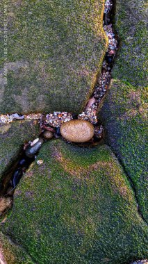 Swamis Resif Parkı Encinitas California 'da günbatımında eski resifler, gel-git havuzları, okyanus dalgaları, palmiye ağaçları, deniz kuşları ve sıcak renkli gökyüzüyle birlikte Güney Kaliforniya kıyısı sahneleri..