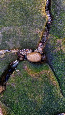 Güney Kaliforniya kıyılarında alçak gelgit sahneleri eski resif gel-git havuzları, okyanus dalgaları, palmiye ağaçları, deniz kuşları ve Swamis Resif Sörf Parkı Encinitas California 'da sıcak renkli gökyüzü.
