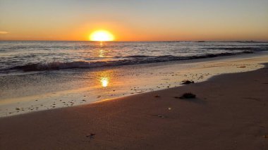 Güney Kaliforniya kıyılarında alçak gelgit sahneleri eski resif gel-git havuzları, okyanus dalgaları, palmiye ağaçları, deniz kuşları ve Swamis Resif Sörf Parkı Encinitas California 'da sıcak renkli gökyüzü.
