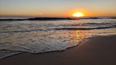 Güney Kaliforniya kıyılarında alçak gelgit sahneleri eski resif gel-git havuzları, okyanus dalgaları, palmiye ağaçları, deniz kuşları ve Swamis Resif Sörf Parkı Encinitas California 'da sıcak renkli gökyüzü.