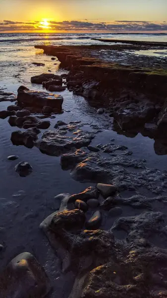 Swamis Resif Parkı Encinitas California 'da günbatımında eski resifler, gel-git havuzları, okyanus dalgaları, palmiye ağaçları, deniz kuşları ve sıcak renkli gökyüzüyle birlikte Güney Kaliforniya kıyısı sahneleri..