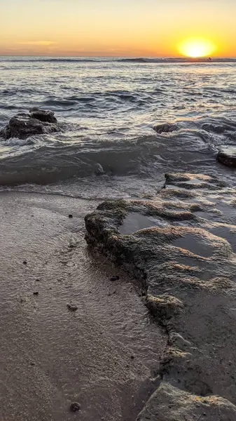 Günbatımında Güney Kaliforniya plaj sahneleri. Swamis Resif Parkı Encinitas California 'da okyanus resifi gel-git havuzları, dalgalar ve karanlık gökyüzü..
