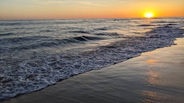 Güney Kaliforniya plaj sahneleri, gelgit havuzları, soyut kaya oluşumları, okyanus dalgaları, sörf tahtaları, palmiye ağaçları ve Swamis Resif Parkı Encinitas California 'da sıcak lavanta gökyüzü..