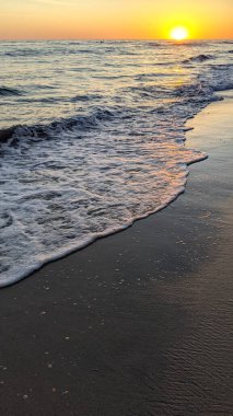 Güney Kaliforniya plaj sahneleri, gelgit havuzları, soyut kaya oluşumları, okyanus dalgaları, sörf tahtaları, palmiye ağaçları ve Swamis Resif Parkı Encinitas California 'da sıcak lavanta gökyüzü..