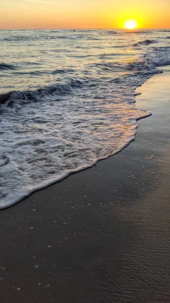 Güney Kaliforniya plaj sahneleri, gelgit havuzları, soyut kaya oluşumları, okyanus dalgaları, sörf tahtaları, palmiye ağaçları ve Swamis Resif Parkı Encinitas California 'da sıcak lavanta gökyüzü..