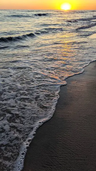 Güney Kaliforniya plaj sahneleri, gelgit havuzları, soyut kaya oluşumları, okyanus dalgaları, sörf tahtaları, palmiye ağaçları ve Swamis Resif Parkı Encinitas California 'da sıcak lavanta gökyüzü..
