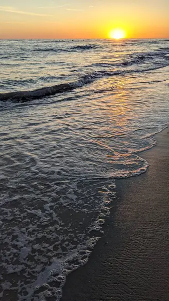 Güney Kaliforniya plaj sahneleri, gelgit havuzları, soyut kaya oluşumları, okyanus dalgaları, sörf tahtaları, palmiye ağaçları ve Swamis Resif Parkı Encinitas California 'da sıcak lavanta gökyüzü..