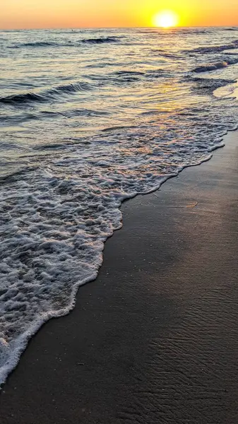 Güney Kaliforniya plaj sahneleri, gelgit havuzları, soyut kaya oluşumları, okyanus dalgaları, sörf tahtaları, palmiye ağaçları ve Swamis Resif Parkı Encinitas California 'da sıcak lavanta gökyüzü..