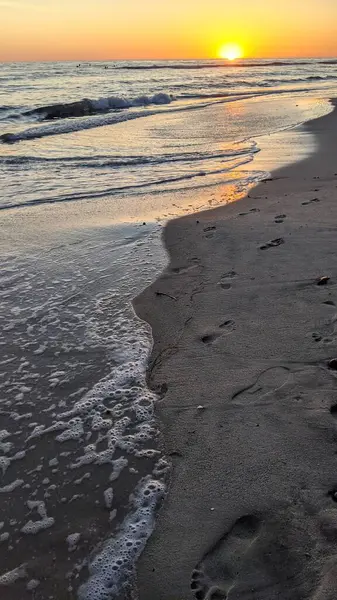 Güney Kaliforniya plaj sahneleri, gelgit havuzları, soyut kaya oluşumları, okyanus dalgaları, sörf tahtaları, palmiye ağaçları ve Swamis Resif Parkı Encinitas California 'da sıcak lavanta gökyüzü..