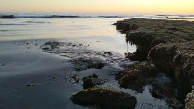 Günbatımında Güney Kaliforniya plaj sahneleri gelgit havuzları, siluetler, soyut kaya oluşumları, okyanus dalgaları, sörf tahtalı sörfçüler ve Swamis Resif Parkı Encinitas California 'da sıcak güneşli gökyüzü.