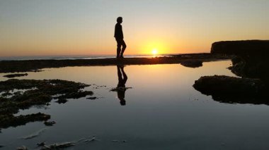 Güney Kaliforniya kıyılarında antik resifler, gelgit havuzları, okyanus dalgaları, palmiye ağaçları, deniz kuşları ve Swamis Resif Parkı Encinitas California 'da sıcak güneşli gökyüzü.