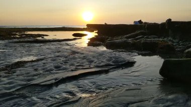 Güney Kaliforniya kıyılarında antik resifler, gelgit havuzları, okyanus dalgaları, palmiye ağaçları, deniz kuşları ve Swamis Resif Parkı Encinitas California 'da sıcak güneşli gökyüzü.