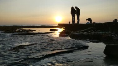 Güney Kaliforniya kıyılarında antik resifler, gelgit havuzları, okyanus dalgaları, palmiye ağaçları, deniz kuşları ve Swamis Resif Parkı Encinitas California 'da sıcak güneşli gökyüzü.