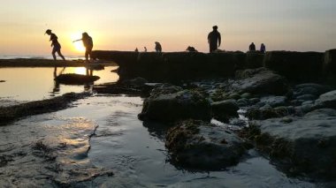 Güney Kaliforniya kıyılarında antik resifler, gelgit havuzları, okyanus dalgaları, palmiye ağaçları, deniz kuşları ve Swamis Resif Parkı Encinitas California 'da sıcak güneşli gökyüzü.