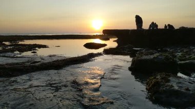 Güney Kaliforniya kıyılarında antik resifler, gelgit havuzları, okyanus dalgaları, palmiye ağaçları, deniz kuşları ve Swamis Resif Parkı Encinitas California 'da sıcak güneşli gökyüzü.