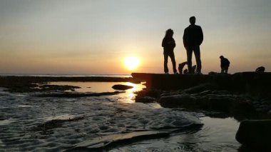 Güney Kaliforniya kıyılarında antik resifler, gelgit havuzları, okyanus dalgaları, palmiye ağaçları, deniz kuşları ve Swamis Resif Parkı Encinitas California 'da sıcak güneşli gökyüzü.