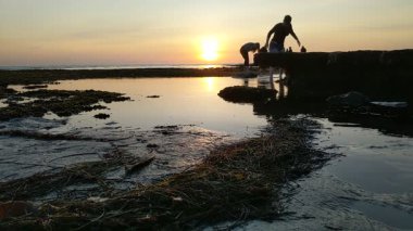 Swamis Resif Parkı Encinitas California 'da günbatımında eski resifler, gel-git havuzları, okyanus dalgaları, palmiye ağaçları, deniz kuşları ve sıcak renkli gökyüzüyle birlikte Güney Kaliforniya kıyısı sahneleri..