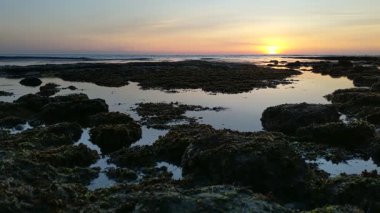 Swamis Resif Parkı Encinitas California 'da günbatımında eski resifler, gel-git havuzları, okyanus dalgaları, palmiye ağaçları, deniz kuşları ve sıcak renkli gökyüzüyle birlikte Güney Kaliforniya kıyısı sahneleri..