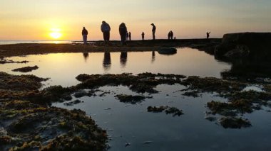 Swamis Resif Parkı Encinitas California 'da günbatımında eski resifler, gel-git havuzları, okyanus dalgaları, palmiye ağaçları, deniz kuşları ve sıcak renkli gökyüzüyle birlikte Güney Kaliforniya kıyısı sahneleri..