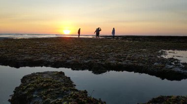 Swamis Resif Parkı Encinitas California 'da günbatımında eski resifler, gel-git havuzları, okyanus dalgaları, palmiye ağaçları, deniz kuşları ve sıcak renkli gökyüzüyle birlikte Güney Kaliforniya kıyısı sahneleri..