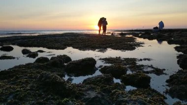 Swamis Resif Parkı Encinitas California 'da günbatımında eski resifler, gel-git havuzları, okyanus dalgaları, palmiye ağaçları, deniz kuşları ve sıcak renkli gökyüzüyle birlikte Güney Kaliforniya kıyısı sahneleri..