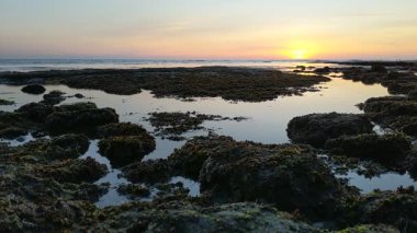 Swamis Resif Parkı Encinitas California 'da günbatımında eski resifler, gel-git havuzları, okyanus dalgaları, palmiye ağaçları, deniz kuşları ve sıcak renkli gökyüzüyle birlikte Güney Kaliforniya kıyısı sahneleri..