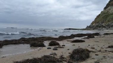 Swamis Resif Parkı Encinitas California 'da günbatımında eski resifler, gel-git havuzları, okyanus dalgaları, palmiye ağaçları, deniz kuşları ve sıcak renkli gökyüzüyle birlikte Güney Kaliforniya kıyısı sahneleri..