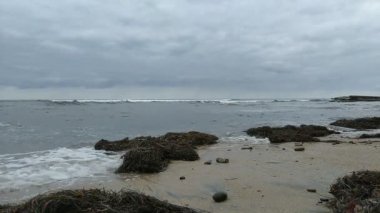 Swamis Resif Parkı Encinitas California 'da günbatımında eski resifler, gel-git havuzları, okyanus dalgaları, palmiye ağaçları, deniz kuşları ve sıcak renkli gökyüzüyle birlikte Güney Kaliforniya kıyısı sahneleri..