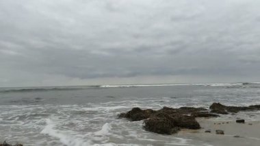 Swamis Resif Parkı Encinitas California 'da günbatımında eski resifler, gel-git havuzları, okyanus dalgaları, palmiye ağaçları, deniz kuşları ve sıcak renkli gökyüzüyle birlikte Güney Kaliforniya kıyısı sahneleri..