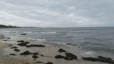 Swamis Resif Parkı Encinitas California 'da günbatımında eski resifler, gel-git havuzları, okyanus dalgaları, palmiye ağaçları, deniz kuşları ve sıcak renkli gökyüzüyle birlikte Güney Kaliforniya kıyısı sahneleri..