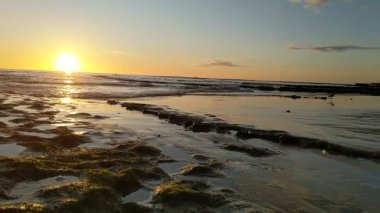 Güney Kaliforniya plaj sahnesi 4K video gelgit havuzları, soyut kaya oluşumları, okyanus dalgaları, sörf tahtaları ile sörfçüler Swamis Resif Parkı Encinitas California 'da sıcak güneşli gökyüzü.