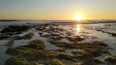 Güney Kaliforniya plaj sahnesi 4K video gelgit havuzları, soyut kaya oluşumları, okyanus dalgaları, sörf tahtaları ile sörfçüler Swamis Resif Parkı Encinitas California 'da sıcak güneşli gökyüzü.