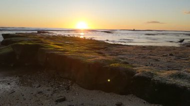 Güney Kaliforniya plaj sahnesi 4K video gelgit havuzları, soyut kaya oluşumları, okyanus dalgaları, sörf tahtaları ile sörfçüler Swamis Resif Parkı Encinitas California 'da sıcak güneşli gökyüzü.