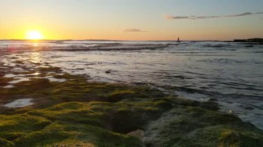 Güney Kaliforniya plaj sahnesi 4K video gelgit havuzları, soyut kaya oluşumları, okyanus dalgaları, sörf tahtaları ile sörfçüler Swamis Resif Parkı Encinitas California 'da sıcak güneşli gökyüzü.