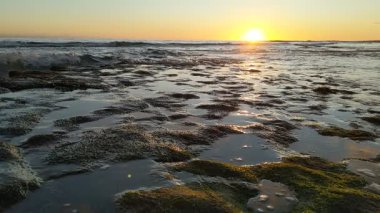 Güney Kaliforniya plaj sahnesi 4K video gelgit havuzları, soyut kaya oluşumları, okyanus dalgaları, sörf tahtaları ile sörfçüler Swamis Resif Parkı Encinitas California 'da sıcak güneşli gökyüzü.