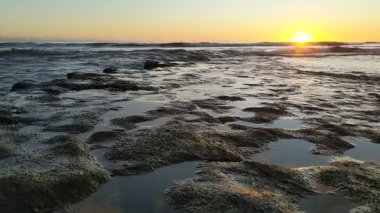 Güney Kaliforniya plaj sahnesi 4K video gelgit havuzları, soyut kaya oluşumları, okyanus dalgaları, sörf tahtaları ile sörfçüler Swamis Resif Parkı Encinitas California 'da sıcak güneşli gökyüzü.