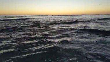 Güney Kaliforniya plaj sahnesi 4K video gelgit havuzları, soyut kaya oluşumları, okyanus dalgaları, sörf tahtaları ile sörfçüler Swamis Resif Parkı Encinitas California 'da sıcak güneşli gökyüzü.