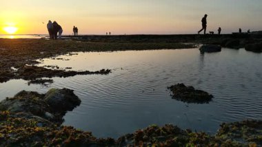 Güney Kaliforniya plaj sahneleri gelgit havuzları, soyut kaya oluşumları, okyanus dalgaları sörf tahtaları, gün batımı siluetleri ve Swamis Resif Parkı Encinitas California 'da sıcak şeftali rengi gökyüzü..