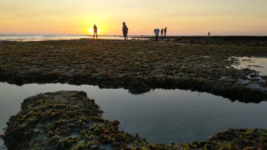 Güney Kaliforniya plaj sahneleri gelgit havuzları, soyut kaya oluşumları, okyanus dalgaları sörf tahtaları, gün batımı siluetleri ve Swamis Resif Parkı Encinitas California 'da sıcak şeftali rengi gökyüzü..
