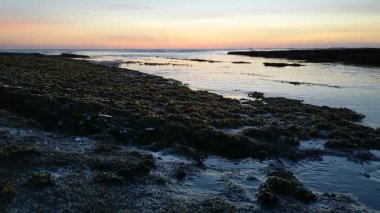 Güney Kaliforniya plaj sahneleri gelgit havuzları, soyut kaya oluşumları, okyanus dalgaları sörf tahtaları, gün batımı siluetleri ve Swamis Resif Parkı Encinitas California 'da sıcak şeftali rengi gökyüzü..