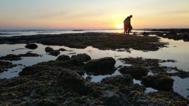 Güney Kaliforniya plaj sahneleri gelgit havuzları, soyut kaya oluşumları, okyanus dalgaları sörf tahtaları, gün batımı siluetleri ve Swamis Resif Parkı Encinitas California 'da sıcak şeftali rengi gökyüzü..