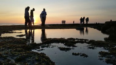 Güney Kaliforniya plaj sahneleri gelgit havuzları, soyut kaya oluşumları, okyanus dalgaları sörf tahtaları, gün batımı siluetleri ve Swamis Resif Parkı Encinitas California 'da sıcak şeftali rengi gökyüzü..