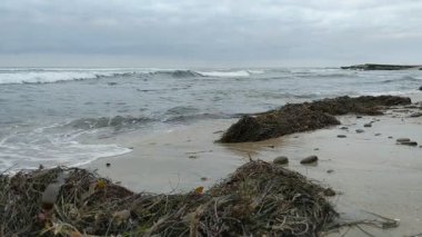 Güney Kaliforniya Pasifik sahili antik resifler, gelgit havuzları, okyanus dalgaları, palmiye ağaçları, sörf tahtaları ve deniz kuşlarının yanı sıra günbatımı gökyüzü manzarası ve Swamis Resif Parkı Encinitas 'taki serin kaya soyutlamaları..
