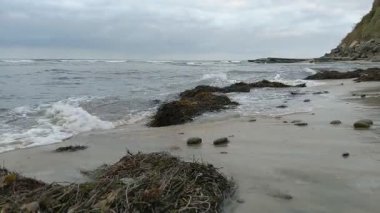 Güney Kaliforniya Pasifik sahili antik resifler, gelgit havuzları, okyanus dalgaları, palmiye ağaçları, sörf tahtaları ve deniz kuşlarının yanı sıra günbatımı gökyüzü manzarası ve Swamis Resif Parkı Encinitas 'taki serin kaya soyutlamaları..