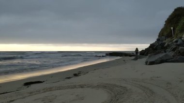 Güney Kaliforniya Pasifik sahili eski resifler, gelgit havuzları, okyanus dalgaları, palmiye ağaçları, sörf tahtaları ve deniz kuşlarının yanı sıra sıcak görünüşlü günbatımı gökyüzü ve Swamis Resif Parkı Encinitas kaya soyutlamaları..