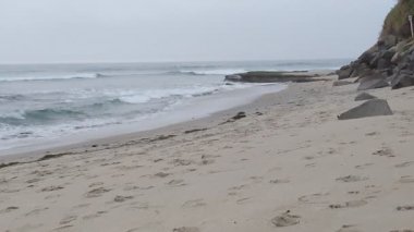 Güney Kaliforniya Pasifik sahili eski resifler, gelgit havuzları, okyanus dalgaları, palmiye ağaçları, sörf tahtaları ve deniz kuşlarının yanı sıra sıcak görünüşlü günbatımı gökyüzü ve Swamis Resif Parkı Encinitas kaya soyutlamaları..